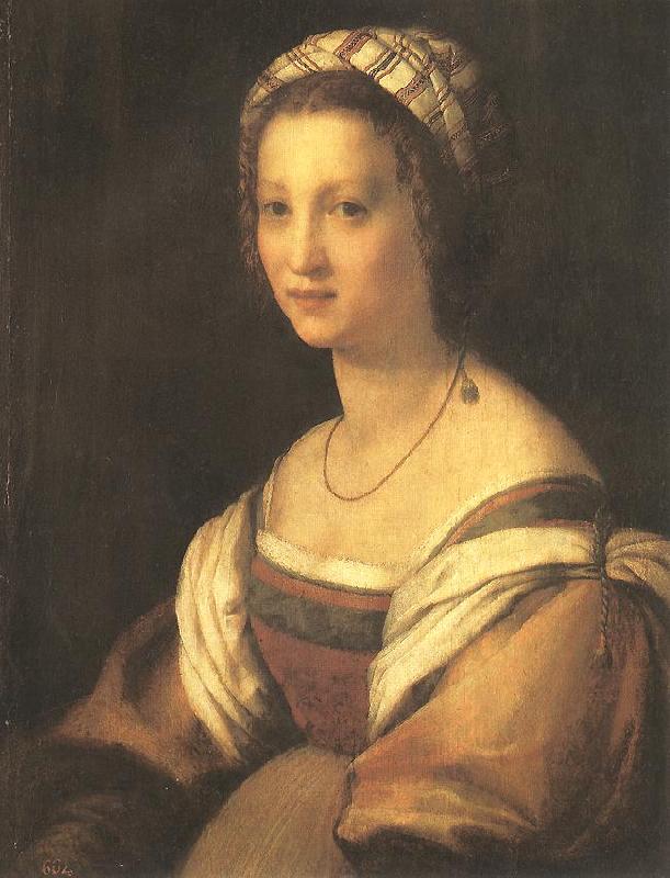 Andrea del Sarto Portrait of the Artist s Wife Germany oil painting art